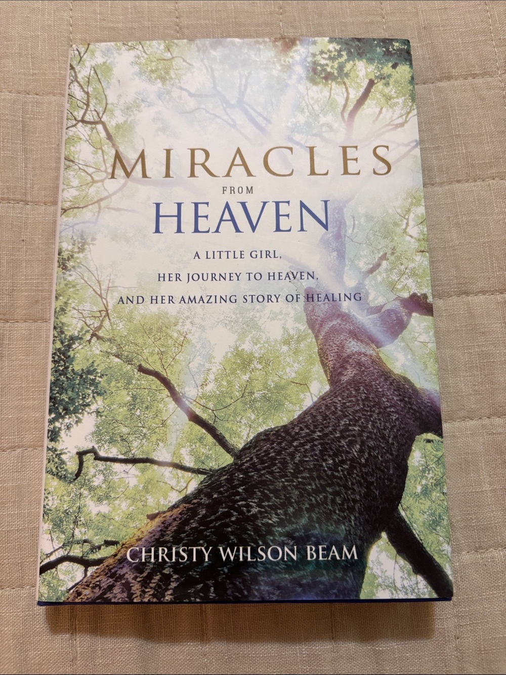 Miracles from Heaven by Christy Wilson Beam - Tree Cover, Green/Blue